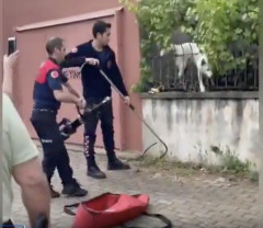 【朗報】挟まりーヌ、鉄格子カッターで無事救出されるｗｗｗ