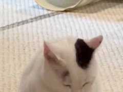 彼女が床でまったりしていた。あっ 洗濯物干すの忘れてた… → そんな瞬間はこちらです…