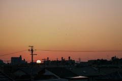 【悲報】夏、消滅…