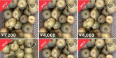 梨盗品問題について、メルカリ「複数の出品者を現地調査した。結果がこちら」
