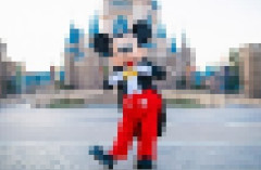 ディズニー行く奴って何が楽しくて行くんや