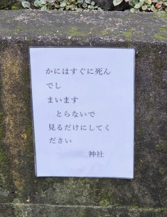 【画像】神主、賢い。このメッセージを解読できるか？ｗｗｗｗ