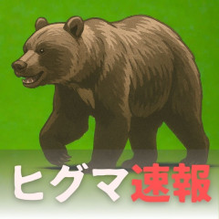 【北海道北見市】サイクリング中の女性の前にクマが突然飛び出す！ビックリしたのか慌てて森に戻る