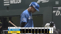 北海道日本ハムファイターズ対SB戦2勝14敗