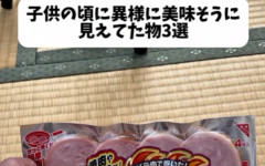 人気ユーチューバーさん、動画内にヤバすぎる物が映ってるのがバレて騒然ｗｗｗｗｗ