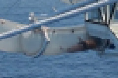 【悲報】男さん、ウォータースライダーで上手く滑れずチューブの中に取り残されてしまうｗｗｗｗｗｗｗｗｗｗｗ