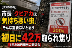 【予算100万】市長「特定外来生物クビアカは気持ち悪い虫だしそんな需要ないと思う」1匹300円相当の報奨金→初日に42万取られ焦り