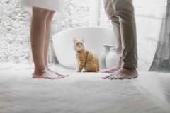「稼ぎ頭は妻」の夫婦、離婚率が3倍になることが明らかに