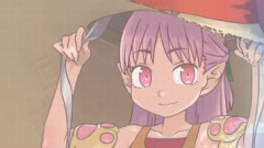 【FGO】水着イベント2026はシーサーハベにゃんとトラ柄ビキニリリスを伴う沖縄怪獣大決戦の夏である