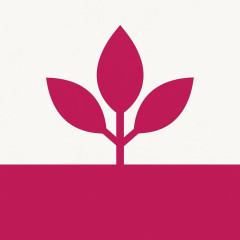 れいわ新選組、「いのちの党」に党名変更   #速報