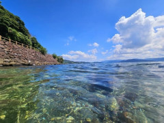 海行ってきたで