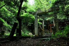 【画像】田舎特有の「謎の神社」wwwwwww