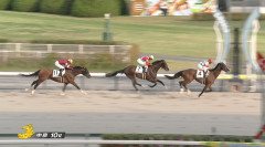 【日曜中京10R】7番カイラーサ鮫島良太騎手2着