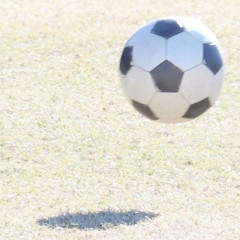 【悲報】韓国サッカー　国際試合で審判買収(性接待)をしてた模様wwwwwwwwwwwwwwwwwwwwwwwwwwwwwwwwwwwwwwwwwwwwwwwww
