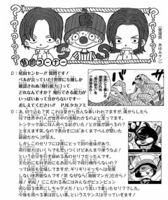 【速報】ワンピースの「世界に5種しかない飛行能力」発言の謎が解けるww..