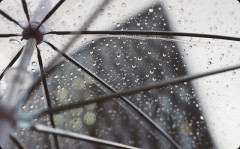 急に雨に降られてケーキ屋さんのお兄さんが傘を貸してくれたんだけど、何を手土産に返しに行けばいいか分からなくて結局手ぶらで返しに行ったのだが…