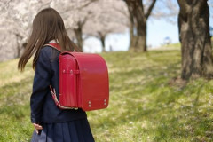 【復讐】絶対に「植えてはいけない植物」を小学校に植えた→20年経って見に行くと…「！？」衝撃の光景が・・・