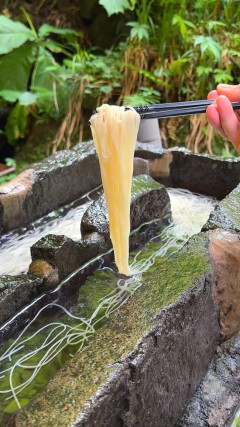 【画像】お前らこのタイプの流しそうめん食える？？