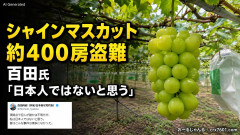 【悲報】今度はシャインマスカット約400房が果樹園から盗まれる 参議院議員「日本人ではないと思う」