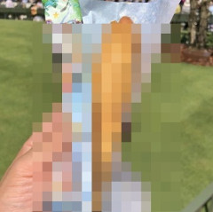 【画像】ディズニーランドで買える「いなり寿司」がめちゃめちゃ美味しそう