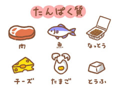 【米大学校研究】タンパク質の摂取量を減らすことは、より大きな健康上の利点をもたらし、寿命を延ばす