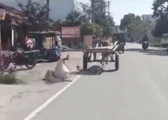 【衝撃映像】インドの暴走族、レベチｗｗｗｗｗｗｗｗｗｗｗｗｗｗｗｗ