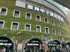 九州人「あ、甲子園で自分の県が負けた、じゃあ他の九州の県を応援しよう」←これ