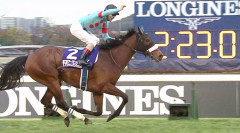 ルメール騎手が騎乗した名馬５頭を語る