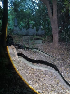 暇やから近くの山に探検するぜ