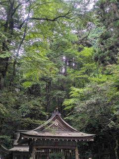 最近行った神社仏閣