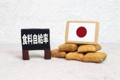 【闇】なぜ日本でコメが買えなくなり食料自給率が過去最低に並んだのか？
