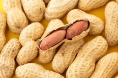 【朗報】「う〇こ移植」でピーナツアレルギー改善、15人中6人が数粒食べられるように