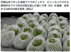 岡山県久米南町のビニールハウスからシャインマスカット200房を盗んだ42歳無職の男逮捕 ネットで販売か 自宅からは300房発見
