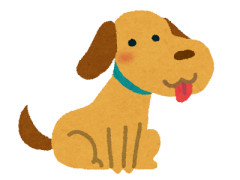 この世のなによりも犬が好きな人と話したい