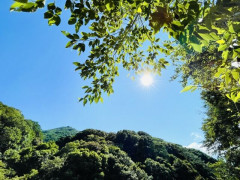 空調服やスポドリを完備していた50代男性、熱中症で死亡