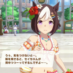 【ウマ娘】各ウマ娘が弱そうな場所