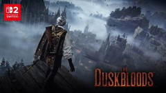 フロムソフトウェア「『The Duskbloods』ネットワークテストに沢山のご応募をいただき誠にありがとうございました」