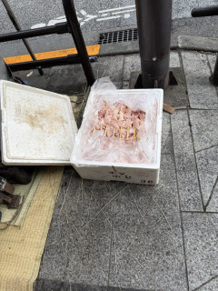 【画像】八王子の夏祭り、衛生管理終わってた