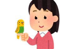 「インコを見せてあげる」女子児童に卑猥な映像を見せたあと○ンコを触らせながら児童の体を触った75歳男逮捕「どのような顔をするのか興味が湧いた」