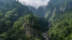 日本って絶対まだ「未踏の地」あるよな？ 山奥とか