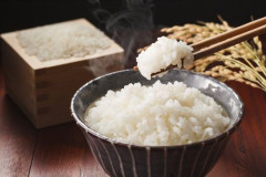 調味料だけでご飯を食べられますか？