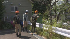 【札幌市清田区】調査の結果“クマの痕跡なし” 「シカでも犬でもないゴロンとして黒い動物を見た」