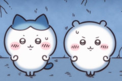 【速報】ちいかわ「モモンガ天誅編」始まる