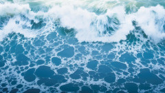 【衝撃】千葉の海岸で写真撮影をしていた38歳男性、一瞬の隙に波にさらわれた結果・・・