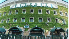 【速報】横浜×沖縄尚学…思ったより横浜が強すぎて沖縄が逝く…