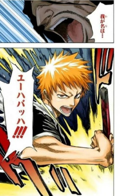 【BLEACH】退けば老いるぞ　臆せば死ぬぞ