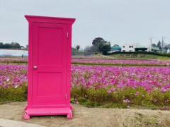 【衝撃】明石家さんま、どこでもドアで『爆弾発言』をしてしまう！！！！！