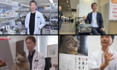 韓国人「日本人が猫の寿命を30年に引き上げる驚異の特効薬を開発し韓国人が衝撃！」→「世界中の愛猫家が熱狂‥」