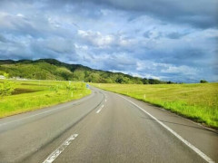 【衝撃】札幌の住宅街に謎のUMA出現か！？市がガチ調査するも「クマの痕跡なし」で謎が深まる・・・・