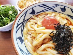 【悲報】フィギュア高橋成美さん、スポンサーに「会食は丸亀製麺で」と要求した結果ｗｗｗｗｗｗ